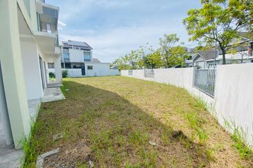 Begonia @ Serene Heights