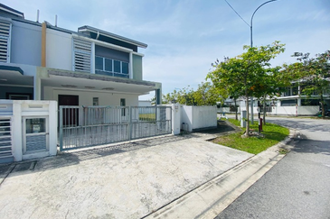 Begonia @ Serene Heights