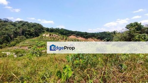 Agriculture Land 1.164 Acre FREEHOLD Kampung Sungai Pening, Semenyih For Sale, Selangor, Semenyih