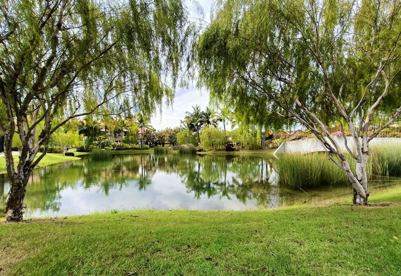 Setia Warisan Tropika (Belladonna)