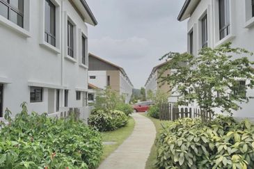 Setia Warisan Tropika (Belladonna)