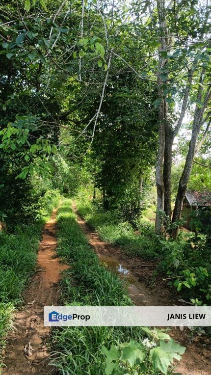 Plam Oil Agriculture Land Ayer Paabas, Alor Gajah, Melaka For Sale   , Melaka, Alor Gajah