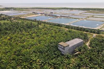 Taman Tanjong Karang