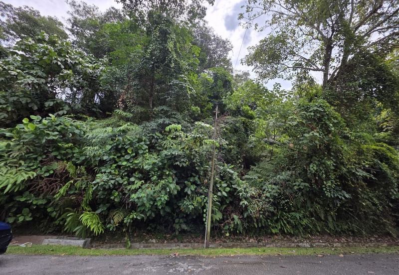 Damansara Heights (Bukit Damansara)