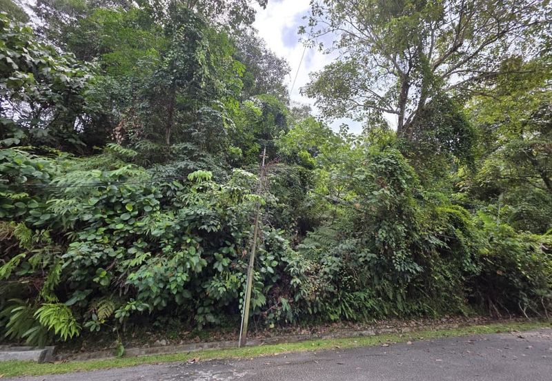 Damansara Heights (Bukit Damansara)