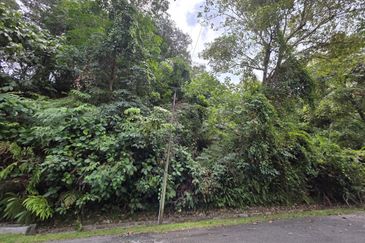 Damansara Heights (Bukit Damansara)