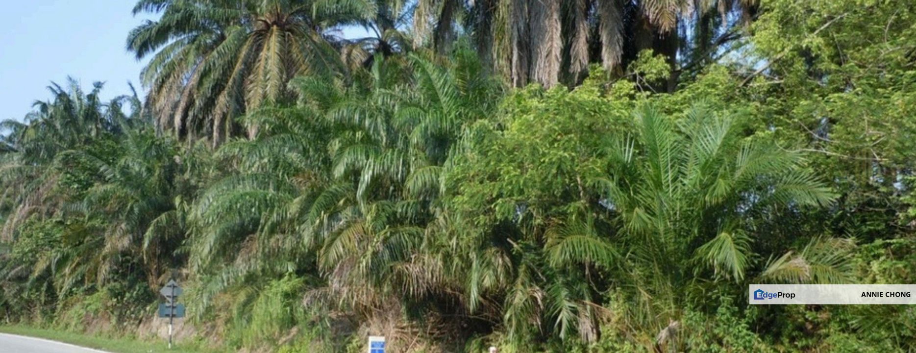 42 ACRE / 1.8MIL SF LAND. Freehold Dengkil, Sepang, Selangor, Selangor, Sepang