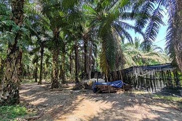 Bandar Utama Batang Kali