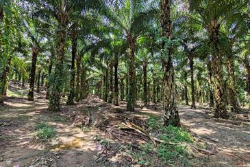 Bandar Utama Batang Kali