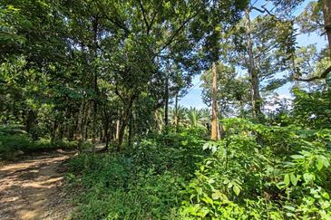 Bandar Utama Batang Kali