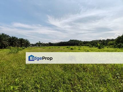 Batang Kali Residential Zoning Agriculture Land For Sale, Selangor, Batang Kali