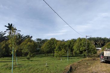 Johor Kluang Jalan Kampong Melayu Agriculture Land with Durian Farm For Sale