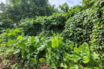 Jalan Tiara Titiwangsa