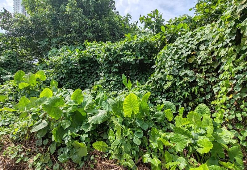 Jalan Tiara Titiwangsa