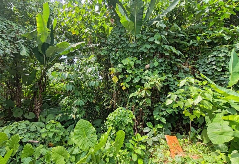 Jalan Tiara Titiwangsa