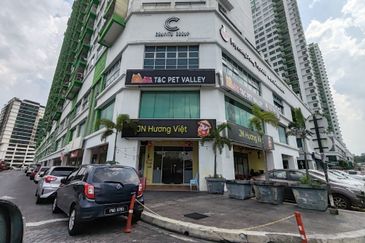 Parklane OUG Service Apartment