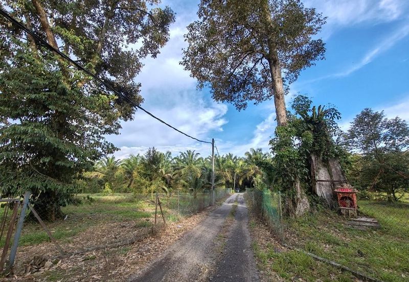 Ulu Bernam Timur Perak Durian Plantation Agriculture Land For Sale
