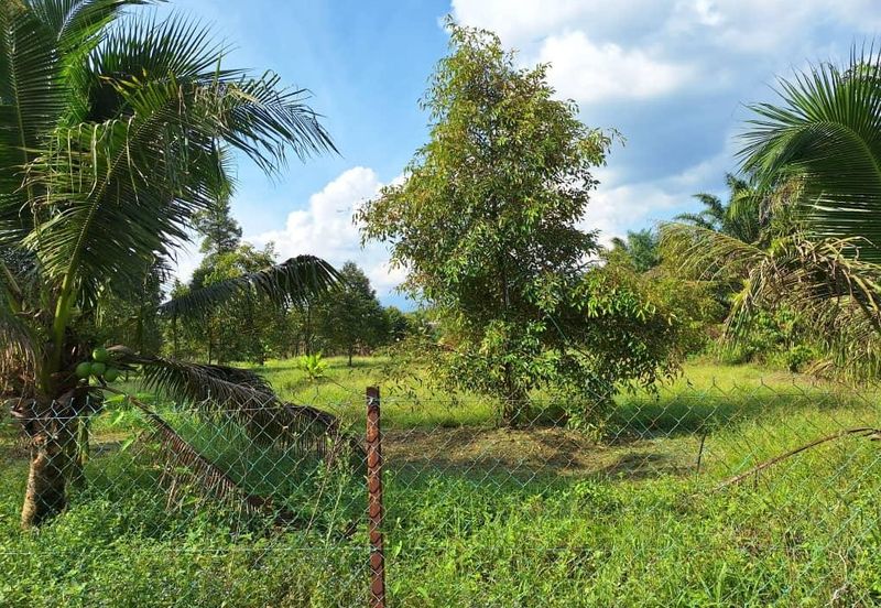 Ulu Bernam Timur Perak Durian Plantation Agriculture Land For Sale