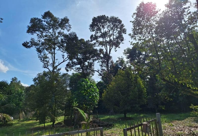 Ulu Bernam Timur Perak Durian Plantation Agriculture Land For Sale