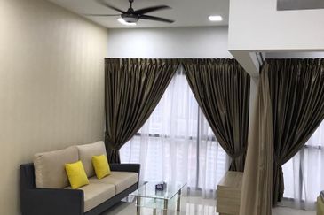 Cyperus @ Tropicana Gardens