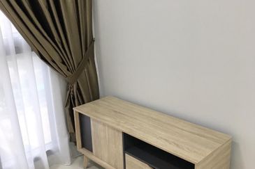 Cyperus @ Tropicana Gardens