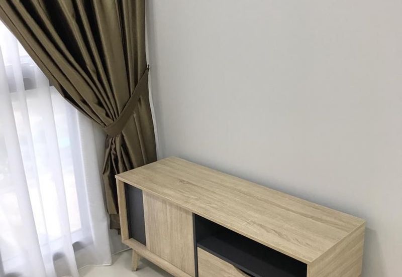 Cyperus @ Tropicana Gardens