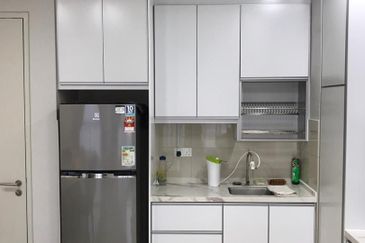 Cyperus @ Tropicana Gardens