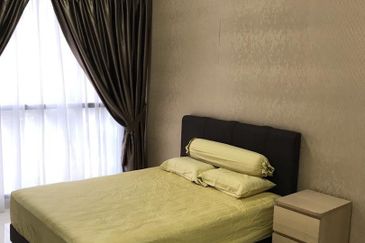 Cyperus @ Tropicana Gardens