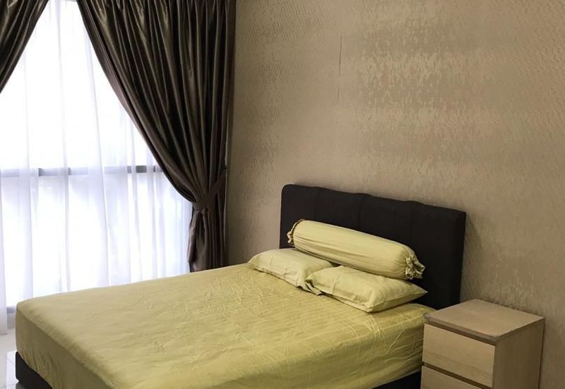 Cyperus @ Tropicana Gardens