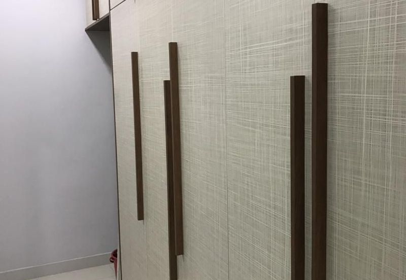 Cyperus @ Tropicana Gardens