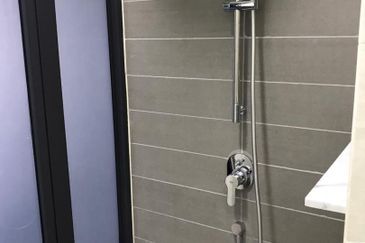 Cyperus @ Tropicana Gardens