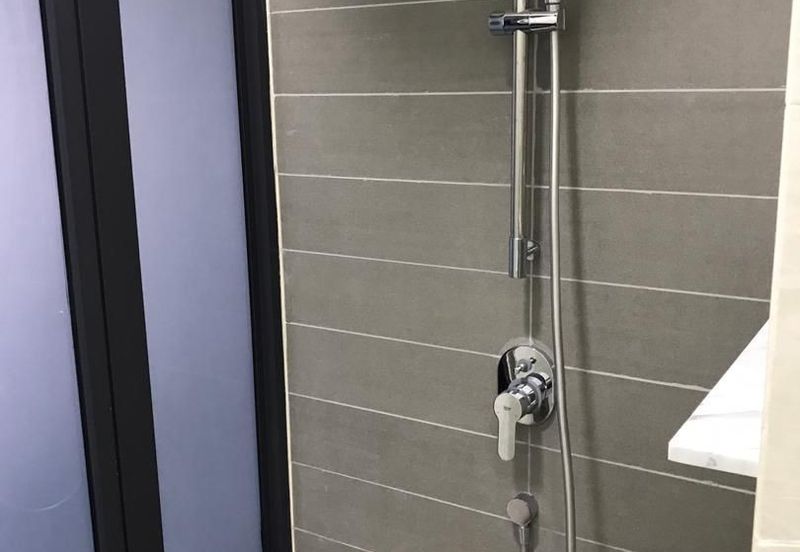 Cyperus @ Tropicana Gardens