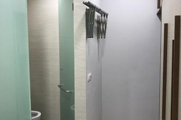 Cyperus @ Tropicana Gardens