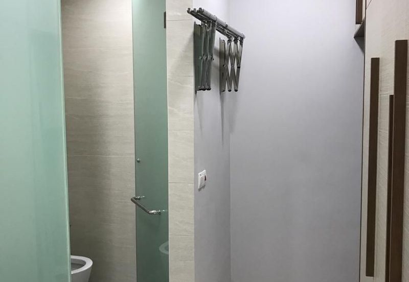 Cyperus @ Tropicana Gardens