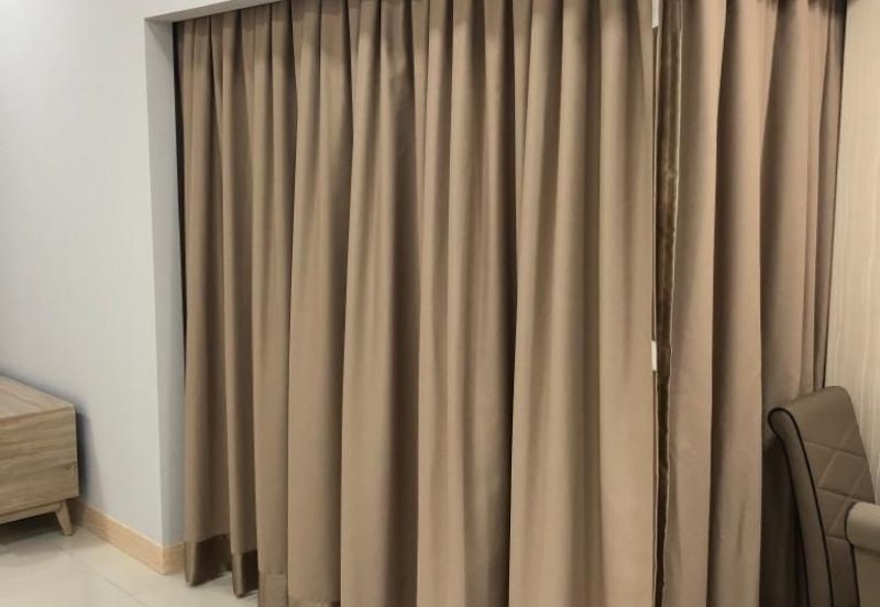 Cyperus @ Tropicana Gardens