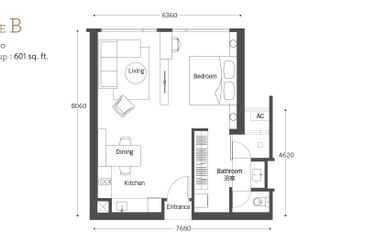 Cyperus @ Tropicana Gardens