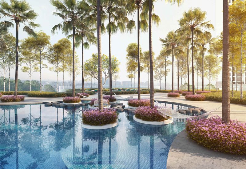 Cyperus @ Tropicana Gardens