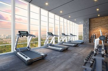 Cyperus @ Tropicana Gardens