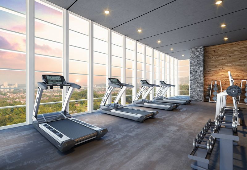 Cyperus @ Tropicana Gardens