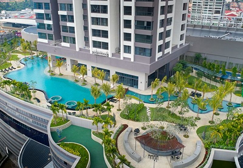 Cyperus @ Tropicana Gardens