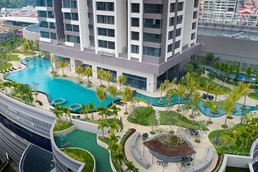 Cyperus @ Tropicana Gardens