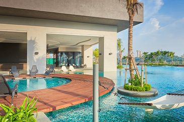 Cyperus @ Tropicana Gardens