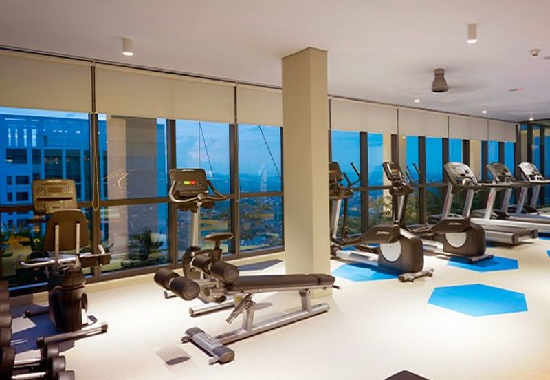 Cyperus @ Tropicana Gardens