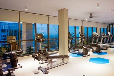 Cyperus @ Tropicana Gardens