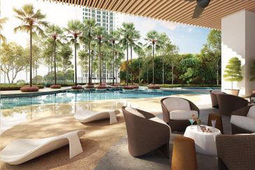 Cyperus @ Tropicana Gardens