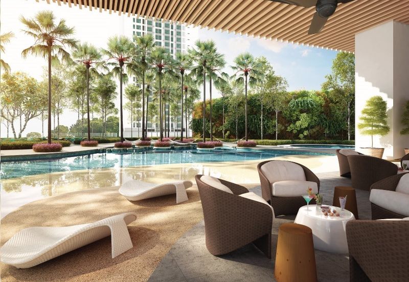 Cyperus @ Tropicana Gardens