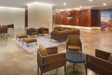 Cyperus @ Tropicana Gardens