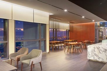 Cyperus @ Tropicana Gardens