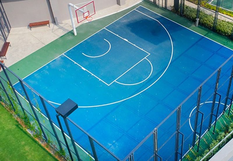 Cyperus @ Tropicana Gardens