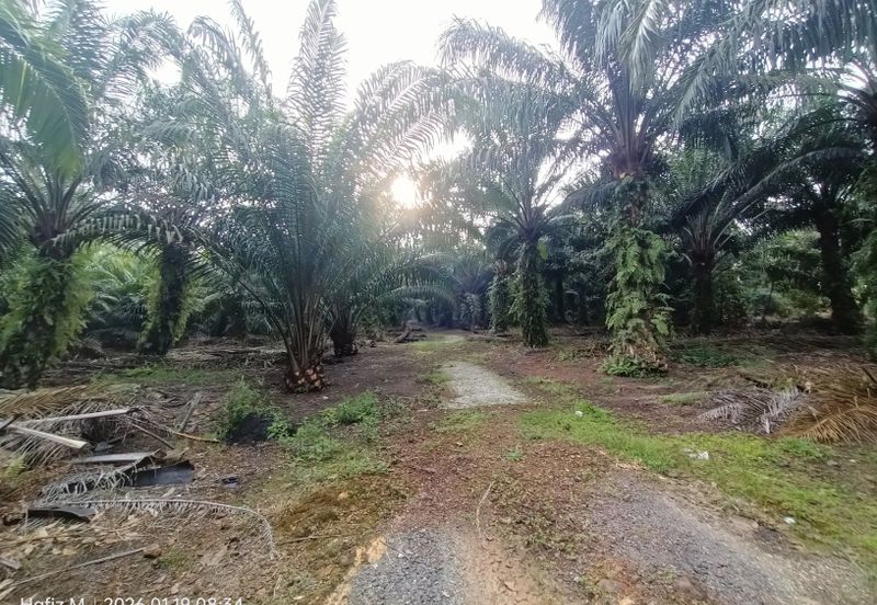 Kampung Parit Kassim